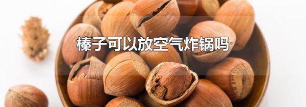 榛子可以放空气炸锅吗