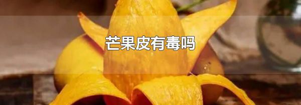 芒果皮有毒吗