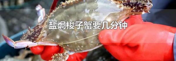盐焗梭子蟹要几分钟