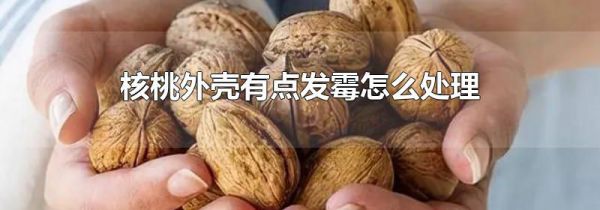 核桃外壳有点发霉怎么处理