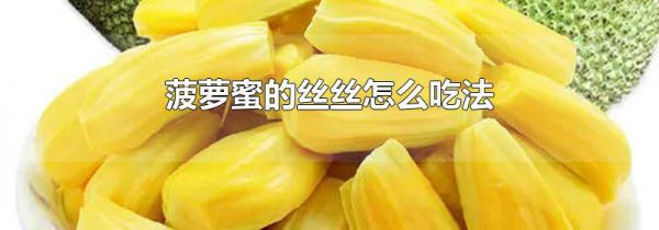 菠萝蜜的丝丝怎么吃法