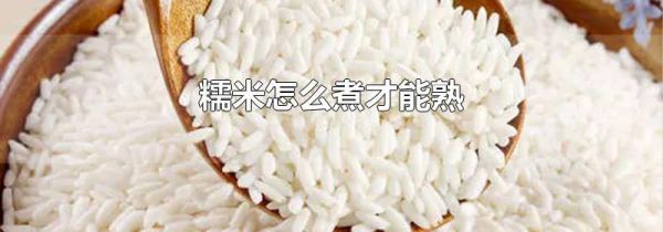 糯米怎么煮才能熟