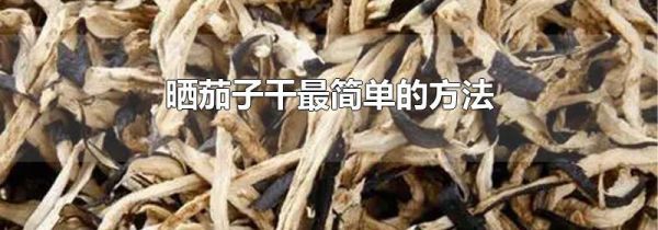晒茄子干最简单的方法