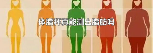 体脂秤真能测出脂肪吗