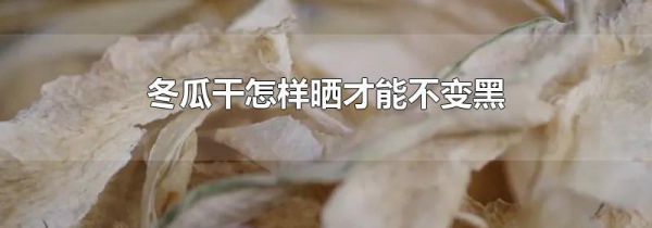 冬瓜干怎样晒才能不变黑