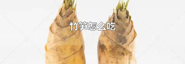 竹笋怎么吃