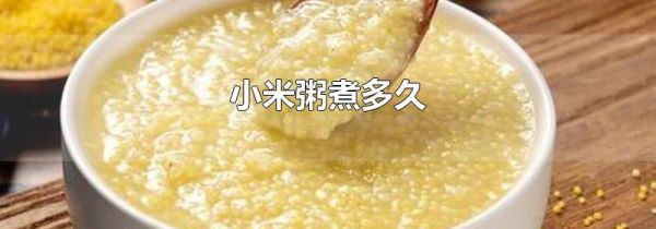 小米粥煮多久