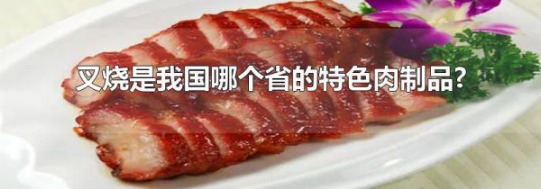 叉烧是我国哪个省的特色肉制品?