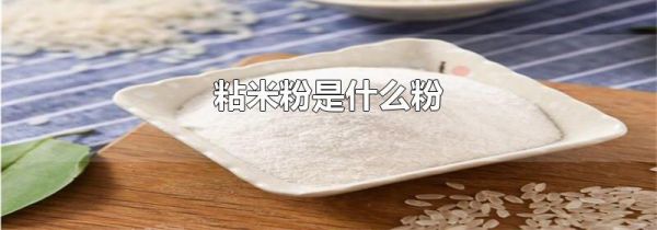 粘米粉是什么粉