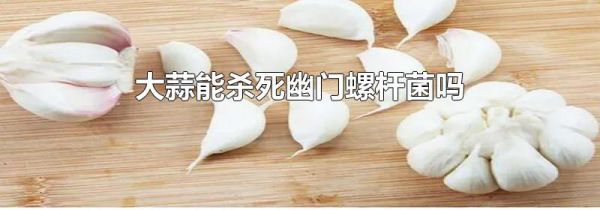 大蒜能杀死幽门螺杆菌吗