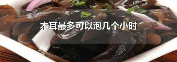 木耳最多可以泡几个小时