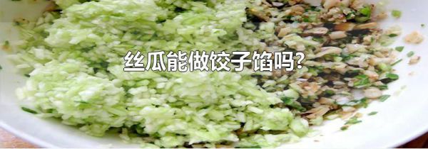 丝瓜能做饺子馅吗?