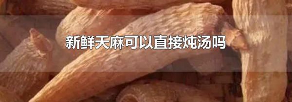 新鲜天麻可以直接炖汤吗