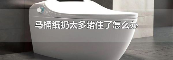 马桶纸扔太多堵住了怎么办