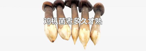 鸡枞菌煮多久才熟