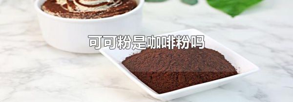 可可粉是咖啡粉吗