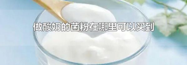 做酸奶的菌粉在哪里可以买到