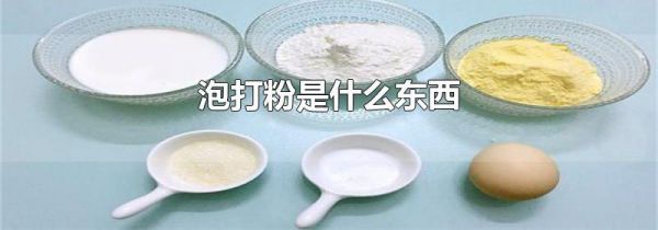 泡打粉是什么东西
