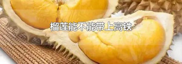 榴莲能不能带上高铁
