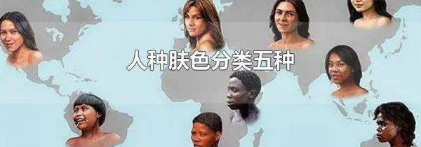 人种肤色分类五种