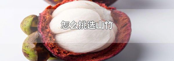 怎么挑选山竹