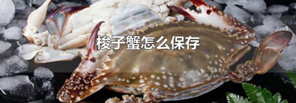 梭子蟹怎么保存