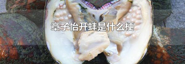 章子怡开蚌是什么梗