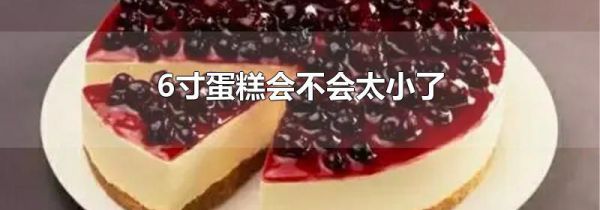 6寸蛋糕会不会太小了