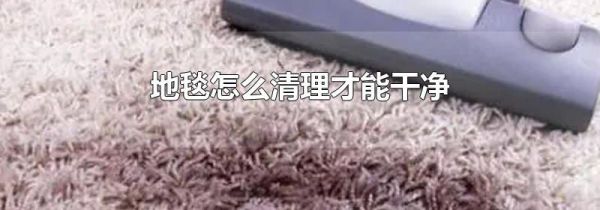 地毯怎么清理才能干净