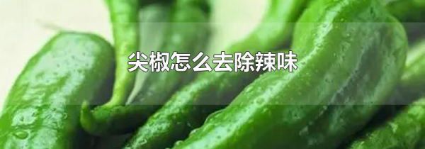 尖椒怎么去除辣味