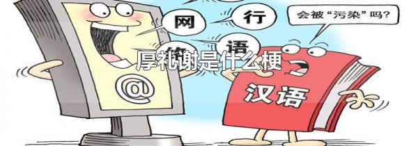 厚礼谢是什么梗