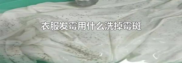 衣服发霉用什么洗掉霉斑