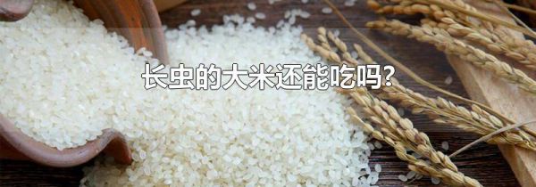 长虫的大米还能吃吗?