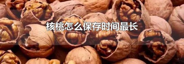 核桃怎么保存时间最长