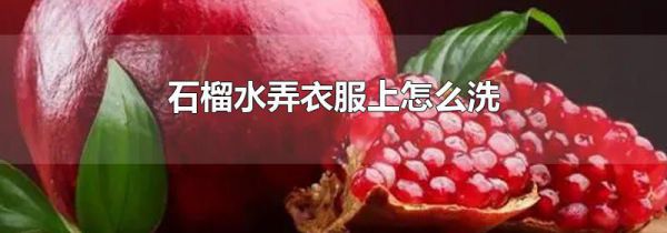 石榴水弄衣服上怎么洗