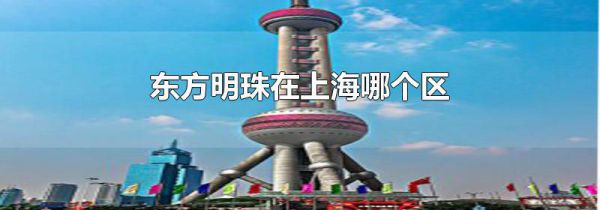 东方明珠在上海哪个区