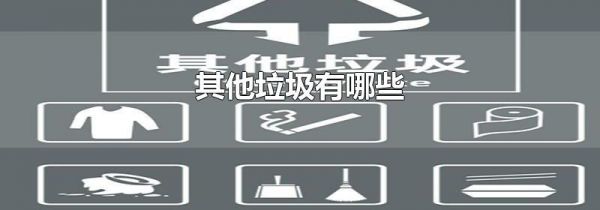 其他垃圾有哪些