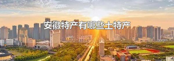 安徽特产有哪些土特产