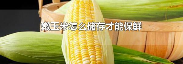 嫩玉米怎么储存才能保鲜