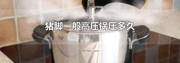 猪脚一般高压锅压多久