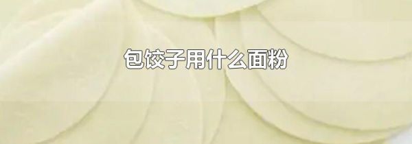 包饺子用什么面粉