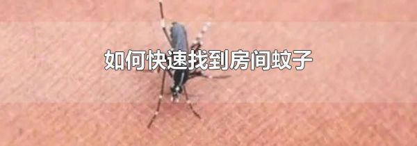 如何快速找到房间蚊子