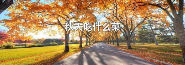秋天吃什么菜