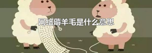 网络薅羊毛是什么意思