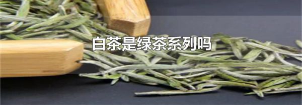 白茶是绿茶系列吗