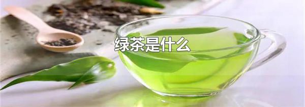绿茶是什么