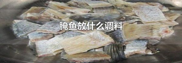 腌鱼放什么调料