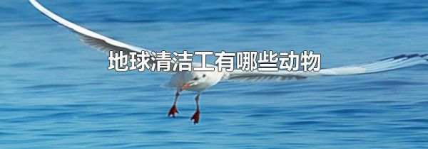地球清洁工有哪些动物