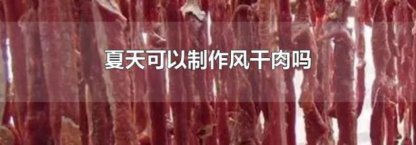 夏天可以制作风干肉吗