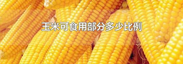 玉米可食用部分多少比例
